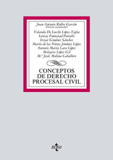 CONCEPTOS DE DERECHO PROCESAL CIVIL - 9788430971589